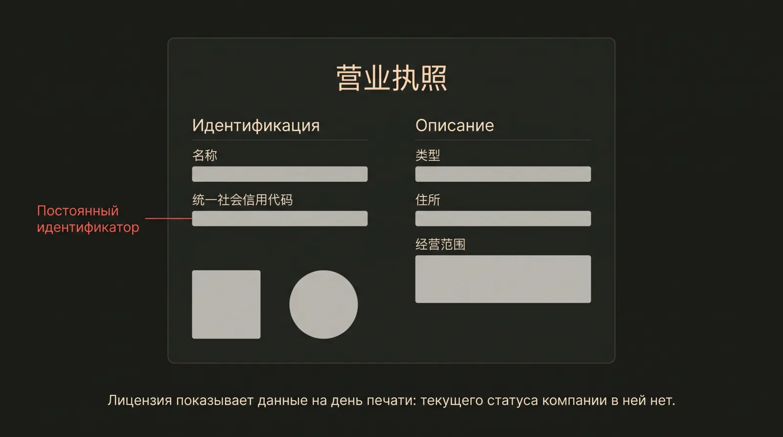 Условная схема китайской бизнес-лицензии с разделением полей на идентификационные и описательные, все значения закрыты.