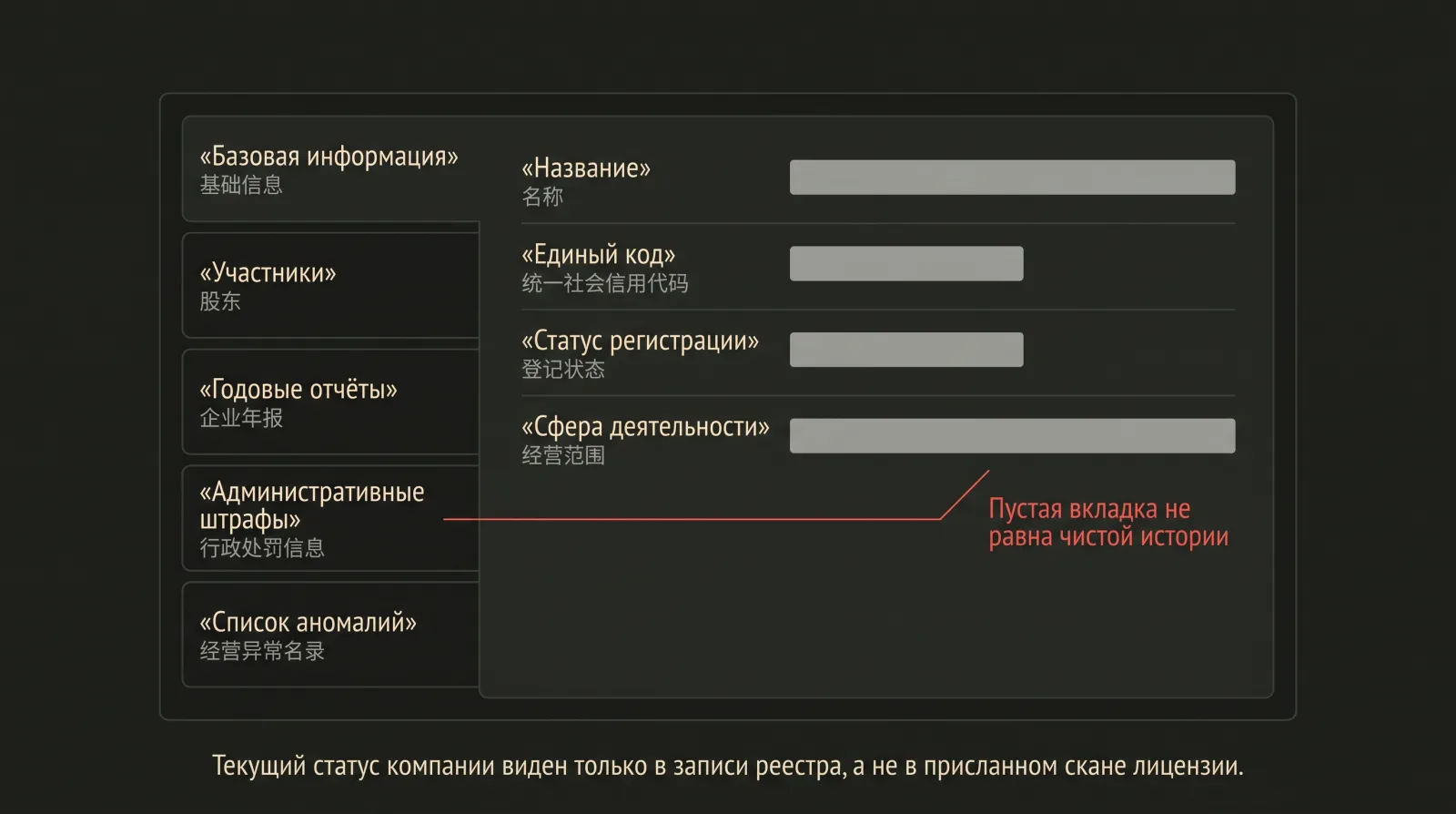 Условная схема карточки компании в реестре: список вкладок слева и поля со скрытыми значениями справа.