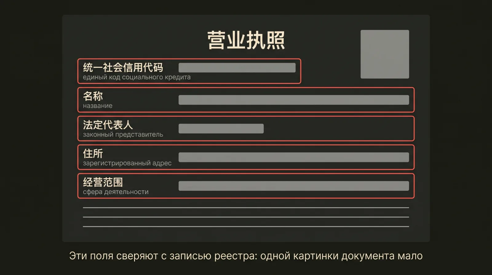 Условная схема китайской бизнес-лицензии: пять ключевых полей выделены рамками, все значения и QR-код закрыты серыми плашками.
