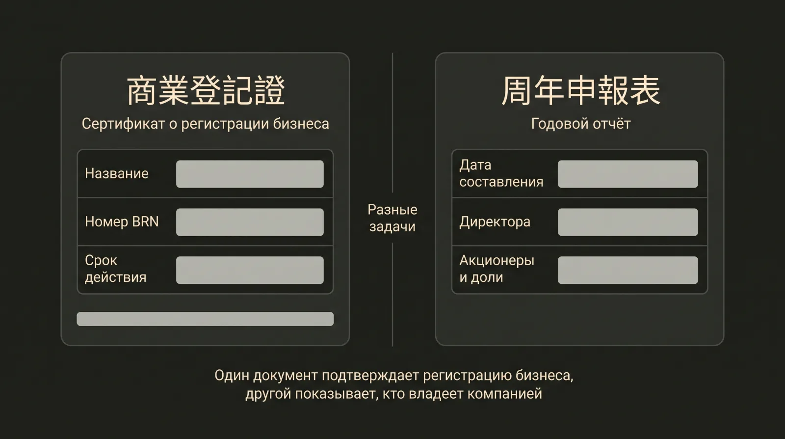 Два условных листа: сертификат о регистрации бизнеса и годовой отчёт, все значения закрыты серыми плашками.