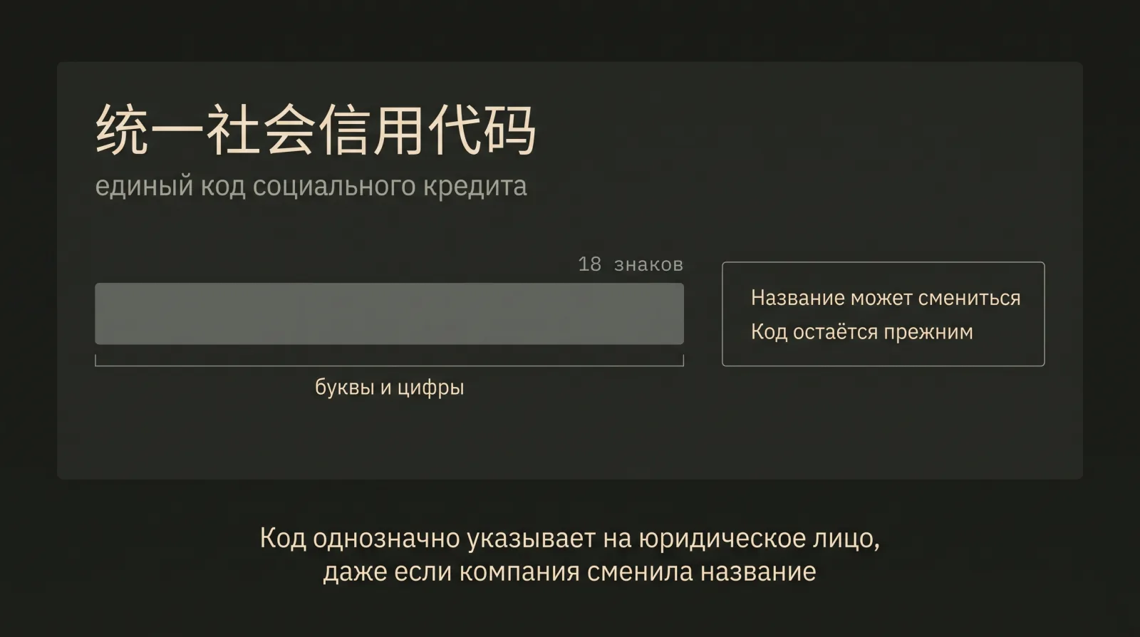 Схема единого кода социального кредита: строка из восемнадцати замаскированных ячеек и напоминание, что код не меняется при смене названия.