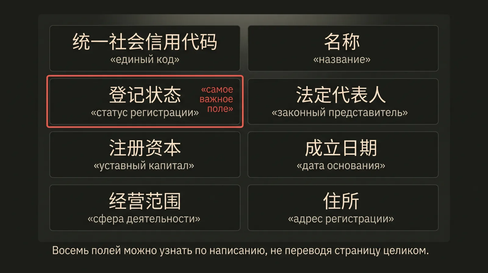 Восемь ключевых полей китайской корпоративной записи иероглифами с короткими русскими подписями.