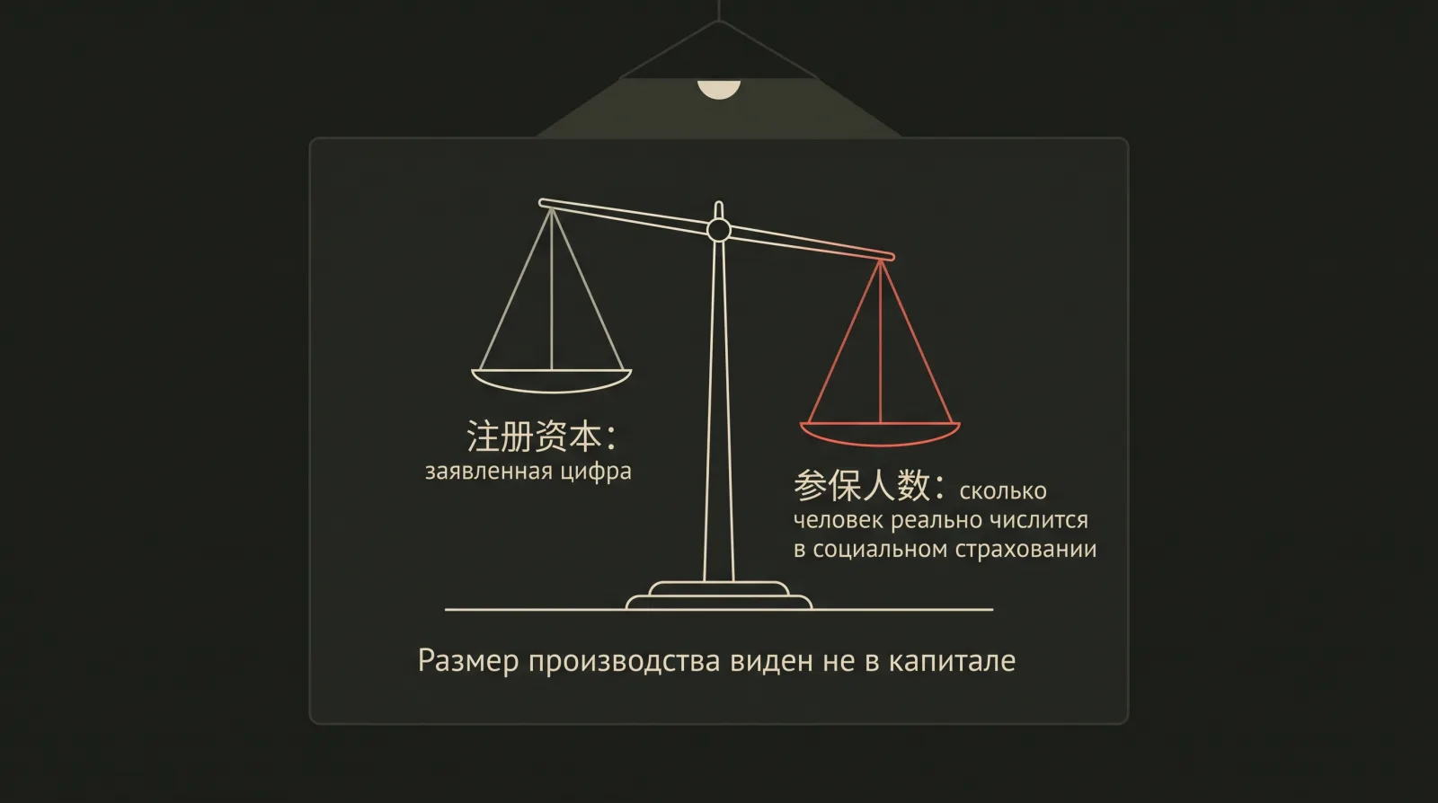Схема-весы: заявленный капитал 注册资本 против числа работников в социальном страховании 参保人数. Размер производства виден не в капитале.